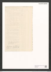 Surirella fusiformis Lend.-Fortm. (de-Toni-Nr.: Genus 53, Species 2280) Zeichnungen Sammlung Grunow (NHMW-BOT-W0372835)